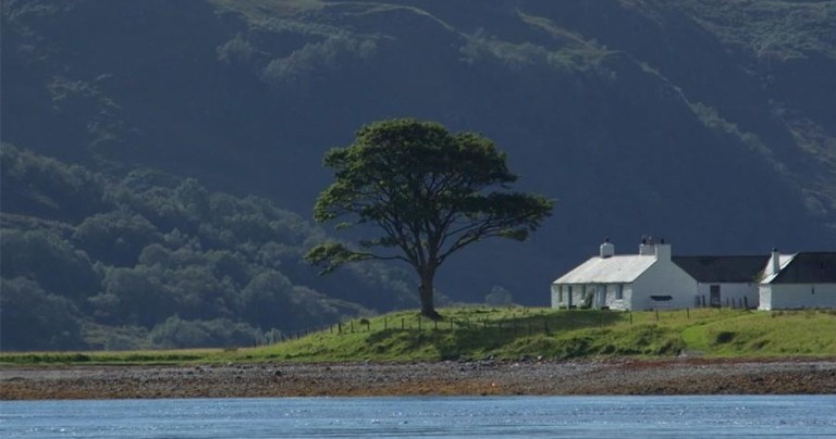 A white house by a large tree near a calm body of water with hills in the background.
