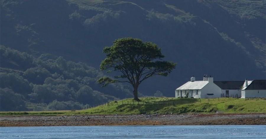 House near a large tree with mountains and water in the background.