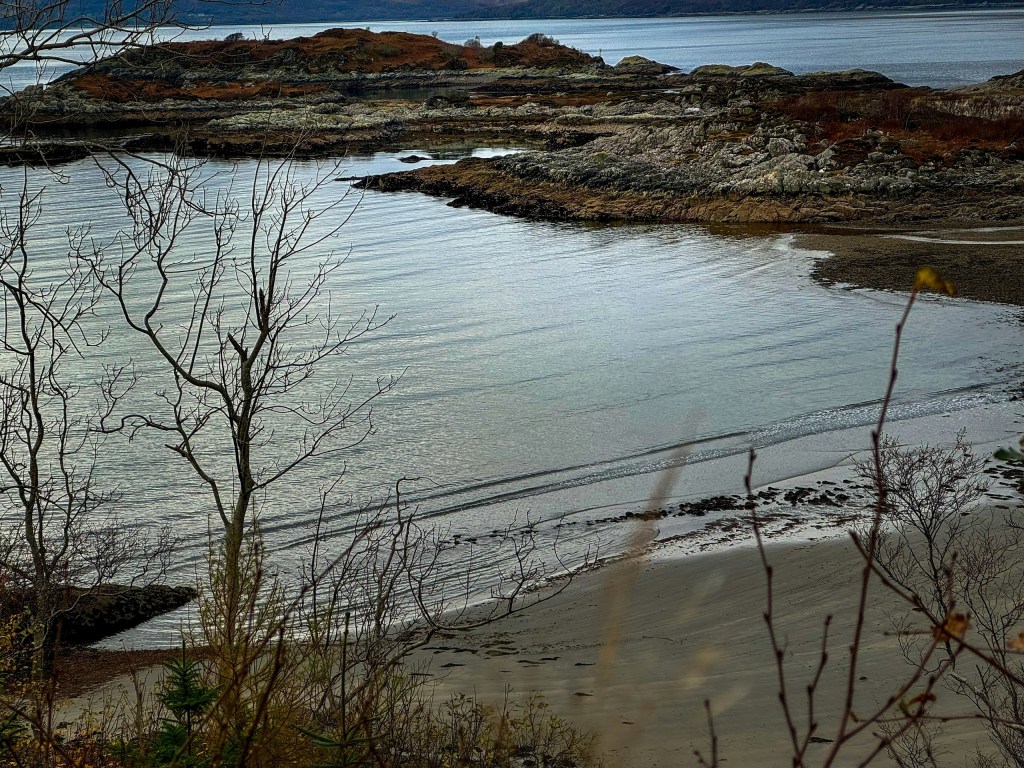 Coastal landscape with rocky shore and calm water, framed by bare branches in the foreground.
