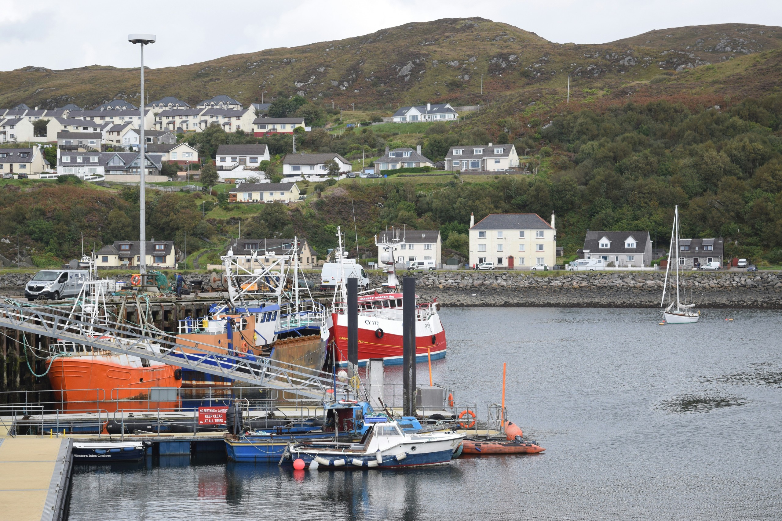Small harbor with fishing boats and hillside houses in the background.