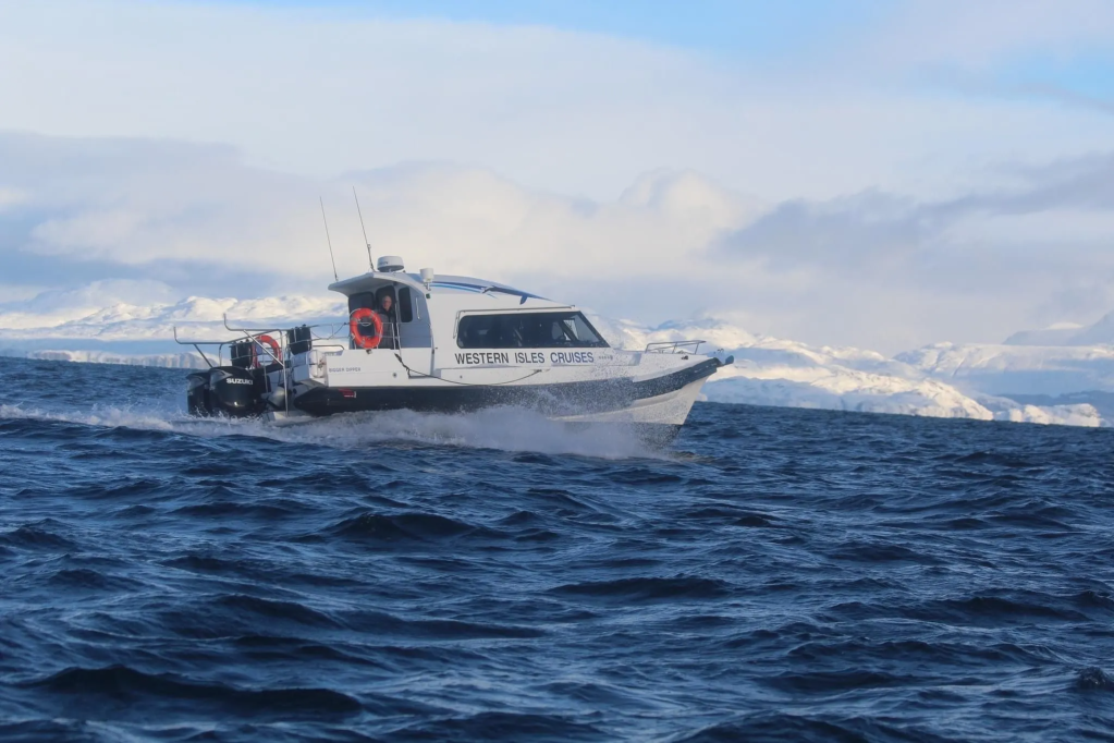 Boat speeding on ocean with snow-covered mountains in background.