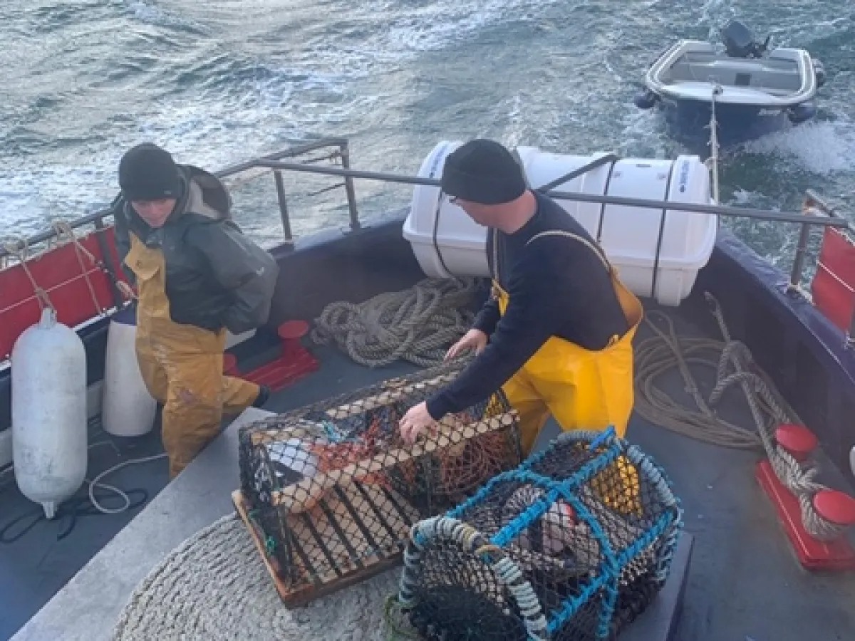 Two people on a boat with lobster traps and ropes on a wavy sea.