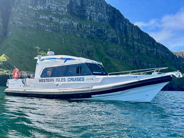 White cruise boat on water near green cliffs under blue sky.