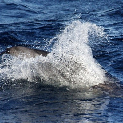 a man riding a wave on a surfboard in the water