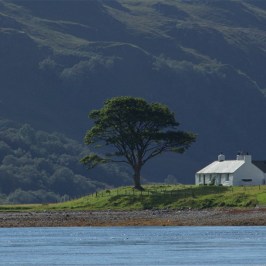a view of a body of water with a mountain in the background