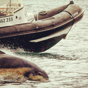 a small boat in a body of water
