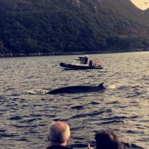a small boat in a body of water with a mountain in the background