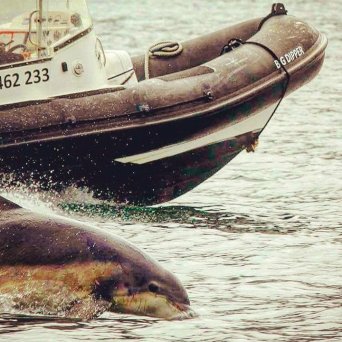 a small boat in a body of water