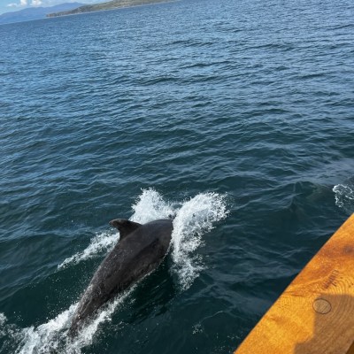a person riding a wave on a surfboard in the water