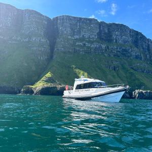 a small boat in a body of water with a mountain in the background